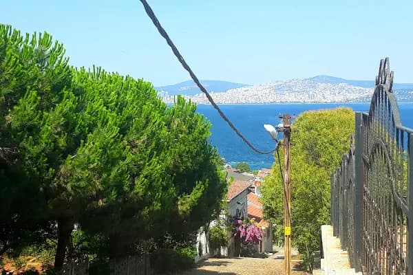 Park - Park - İstanbul Adalar