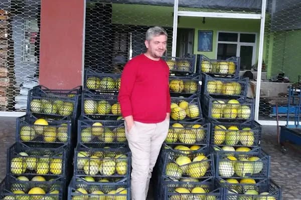 Çarşamba Belediyesi Sebze Ve Meyve Hali - Mağazalar ve Alışveriş - Samsun İlkadım