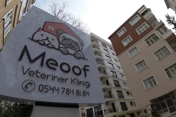 Meoof Veteriner Kliniği - Veteriner - İstanbul Arnavutköy