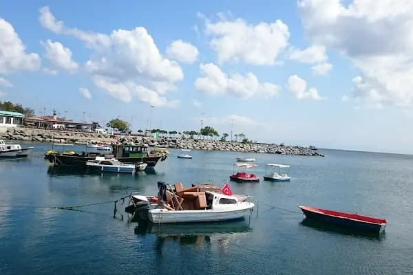 Avcilar Terminali - Ulaşım Hizmeti - İstanbul Avcılar