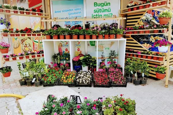 BESA Süpermarket - Market - Balıkesir Karesi