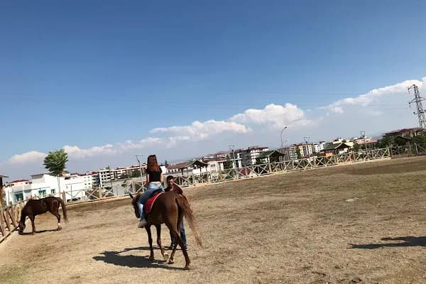 At Binme Ve Okçuluk Merkezi - Spor Aktiviteleri Parkı - Kahramanmaraş Afşin
