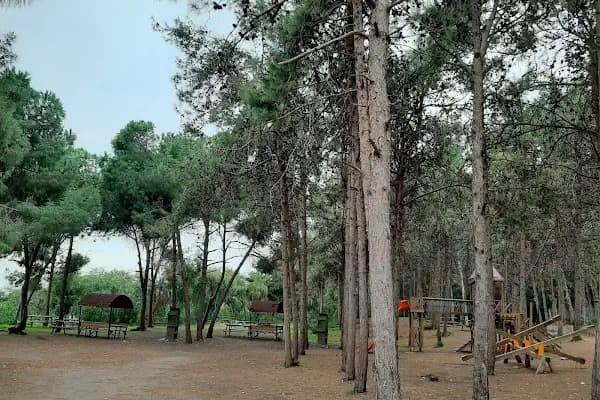 Mersin Yüzüncü Yıl Tabiat Parkı - Milli Park - Mersin Aydıncık