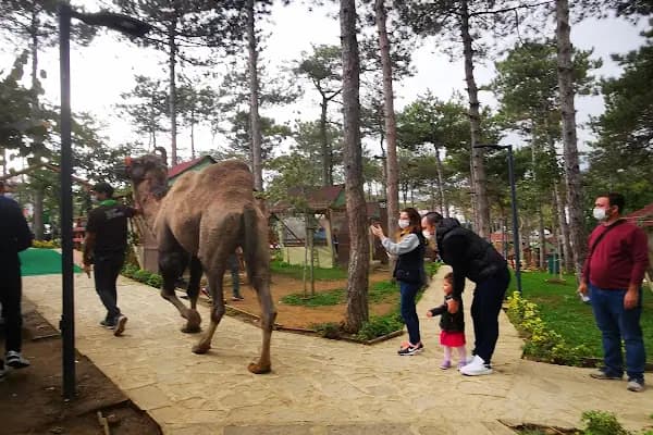 Faruk Yalçın Hayvanat Bahçesi ve Botanik Parkı - Hayvanat Bahçesi - İstanbul Çekmeköy