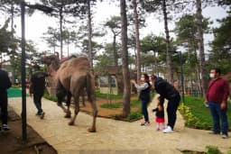 Faruk Yalçın Hayvanat Bahçesi ve Botanik Parkı