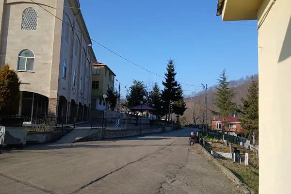 Ağaçlı Mahallesi Merkez Camii - Cami - Trabzon Akçaabat