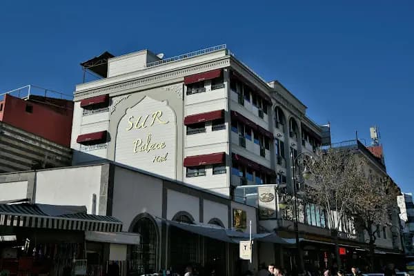 Sur Palace Butik Hotel - Otel - Diyarbakır Kayapınar