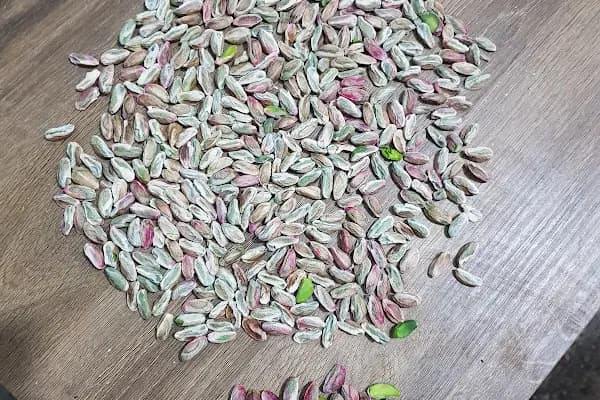 birecik fistik hali - Alışveriş merkezi - Gaziantep Nizip