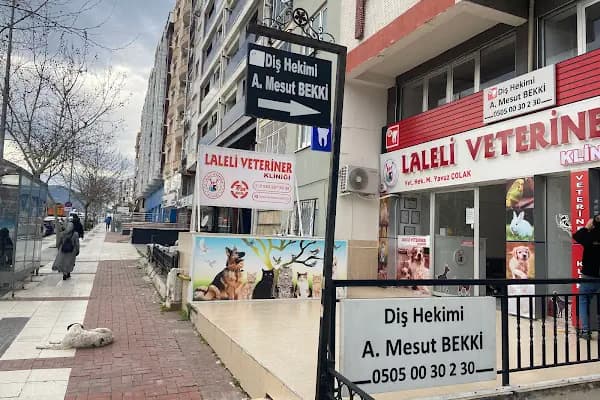 Dis Hekimi Mesut Bekki - Diş Hekimi - Manisa Ahmetli
