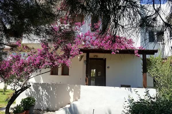 Ayas Sitesi - Konut Geliştirme - Adana Çukurova