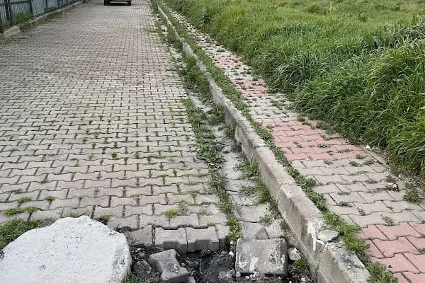 Avcılar Belediyesi Beyaz Masa - Sosyal Yardım Kurumu - İstanbul Adalar