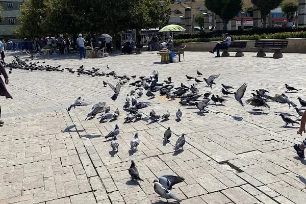 Nil &amp; Alav Hotel - Oda Kahvaltı - İzmir Konak