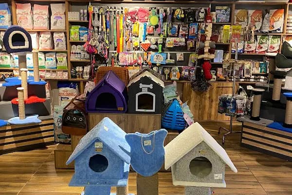 Oddie Pet Shop - Evcil Hayvan Malzemeleri Mağazası - Samsun Atakum