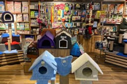 Oddie Pet Shop