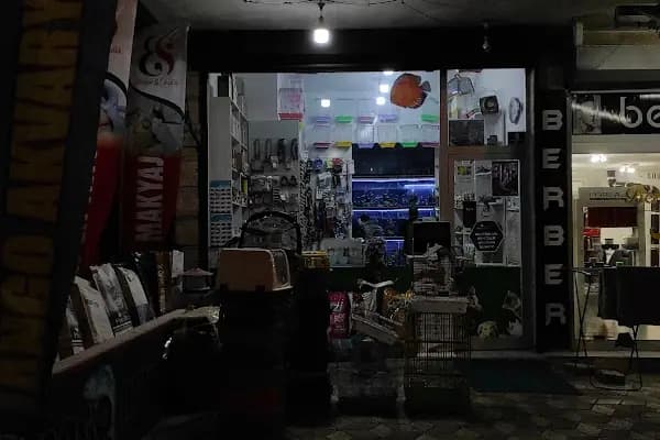 Jango Akvaryum - Evcil hayvan mağazası - Ankara Etimesgut