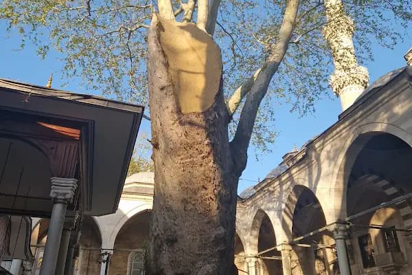 Eyüp Sultan Türbesi - Kutsal Yer - İstanbul Fatih