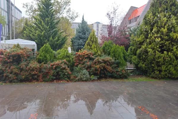 Ankara Üniversitesi Olimpik Yüzme Havuzu - Yüzme havuzu - Ankara Çankaya
