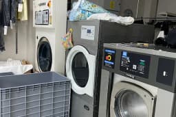 Lavanta Kuru Temizleme &amp; Halı ve Koltuk Yıkama