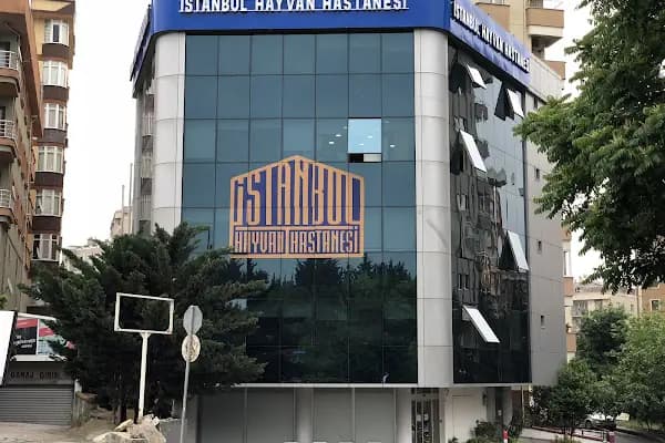 İstanbul Hayvan Hastanesi - Hayvan Hastanesi - İstanbul Arnavutköy