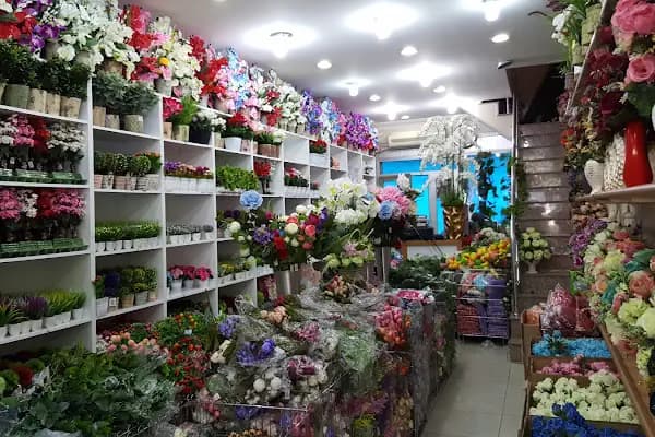BULUT DEKORUM - Çiçek Toptancısı - İstanbul Bağcılar