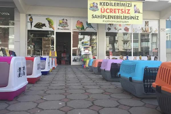 DOĞA PETSHOP - Evcil hayvan mağazası - Ankara Etimesgut