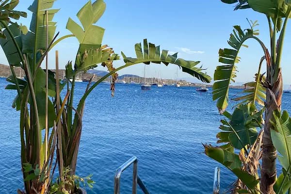 Iconic Beach Bodrum - Restoran - Muğla Bodrum