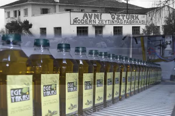 Avni Öztürk Zeytinyağı Fabrikasi - Üretici - Aydın Nazilli