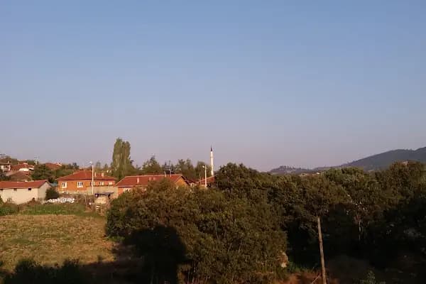 Çeribaşı Köyü Cami - Dini Kurum - Bursa Büyükorhan