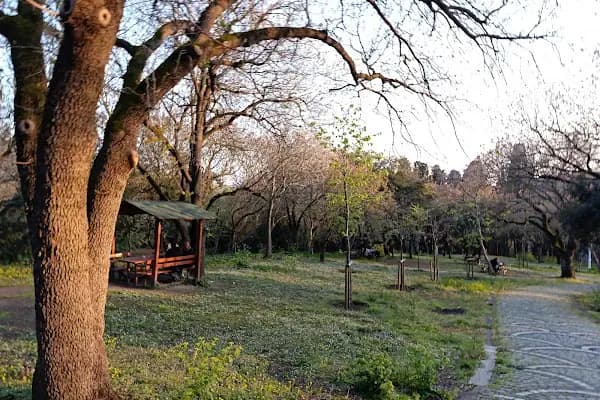 Beşiktaş İtfaiye Grup Amirliği - İtfaiye İstasyonu - İstanbul Pendik