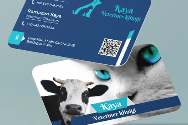Kaya Veteriner Kliniği - Veteriner - Aydın Efeler