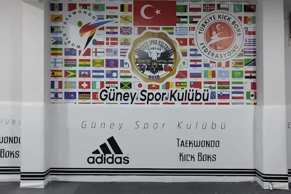GÜNEY SPOR KULÜBÜ TAEKWONDO - KİCK BOKS - Spor Okulu - Ankara Polatlı