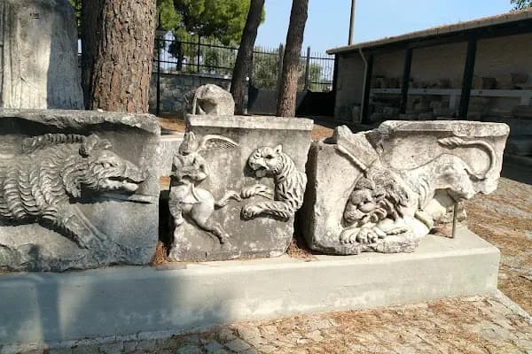 Milet Müzesi - Arkeoloji Müzesi - Aydın Efeler