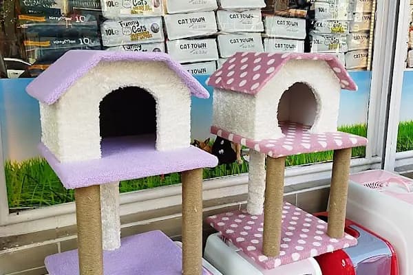 Aktepe Pet Shop Center - Hayvanat Bahçesi - Ankara Beypazarı