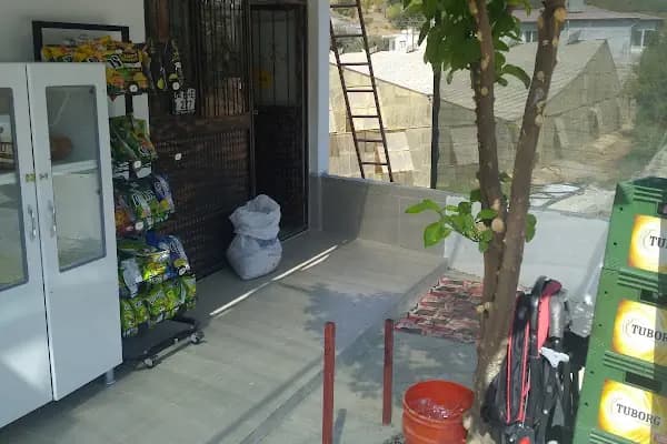Defne market - Market - Mersin Anamur