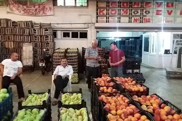 Vedat Dalokay Hal Kompleksi - İş Merkezi - Adana Seyhan