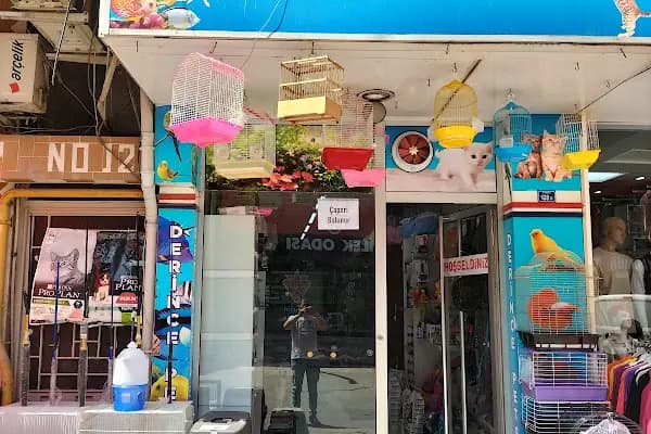 Derince petshop - Evcil Hayvan Malzemeleri Mağazası - Kocaeli Derince