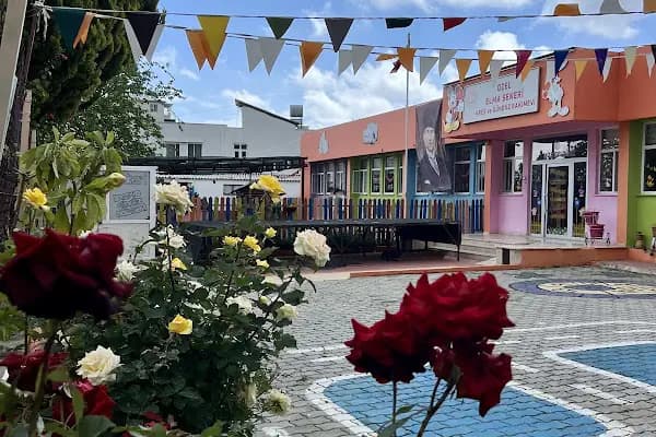 Elma Şekeri Kreş Anaokulu - Kreş - Mersin Toroslar