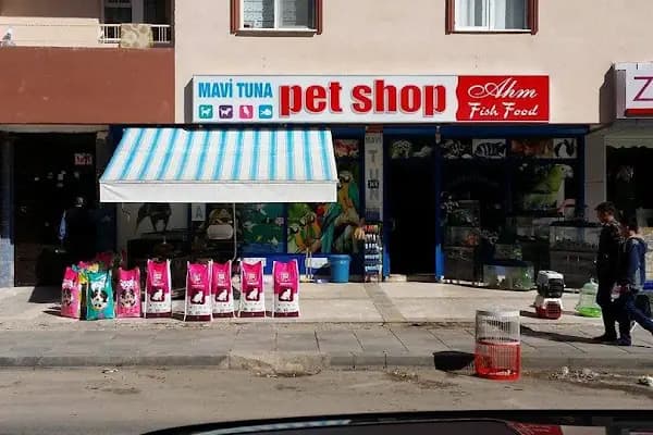 Mavi Tuna Pet Shop - Evcil hayvan mağazası - Ankara Pursaklar