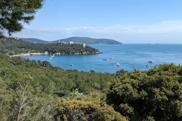 Deniz Lisesi ve Heybeliadalılar Derneği Ormanı - Okul - İstanbul Adalar