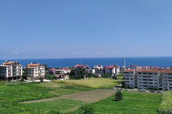 Darıca Afet Evleri - Konut Geliştirme - Trabzon Akçaabat