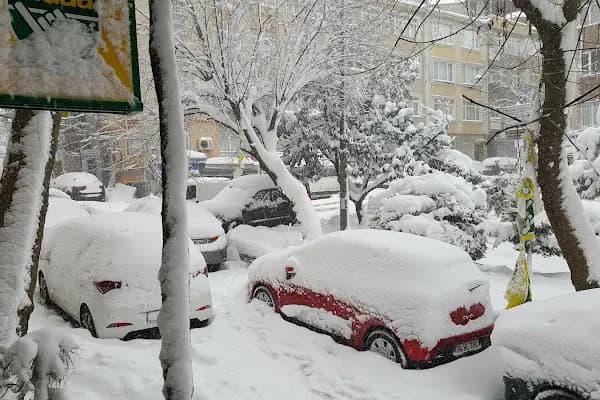 Çınaraltı Parkı - Park - İstanbul Üsküdar