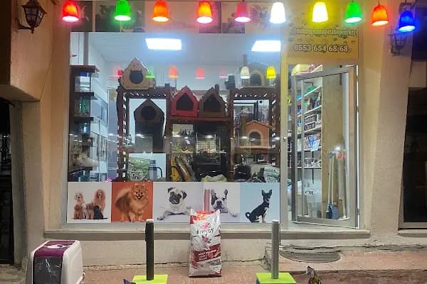 Nuhun Gemisi Petshop - Evcil hayvan mağazası - Tekirdağ Çerkezköy