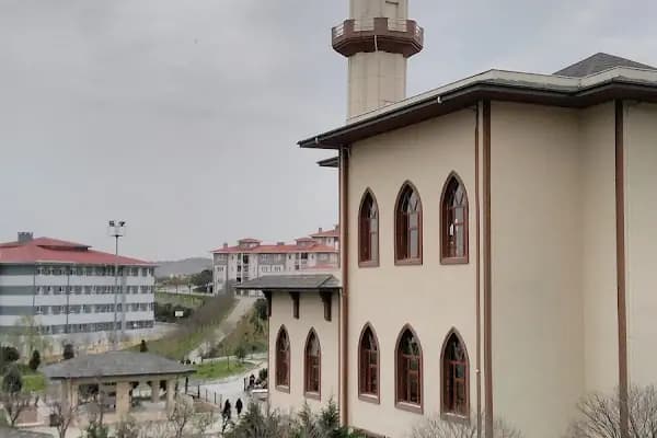 Sultan Murat Cami - Cami - İstanbul Arnavutköy