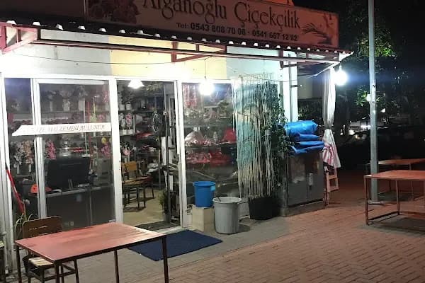 Alganoğlu Çiçekçilik - Çiçekçi - Aydın Efeler