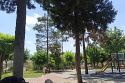 Müslüm Avkan Parkı