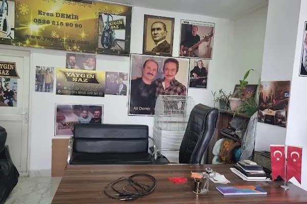 Yaygın Saz - Müzik aletleri mağazası - İstanbul Bağcılar