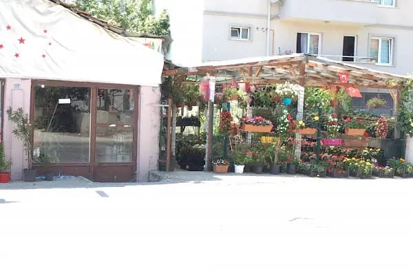Aktay Çiçekçilik - Çiçekçi - Sakarya Serdivan