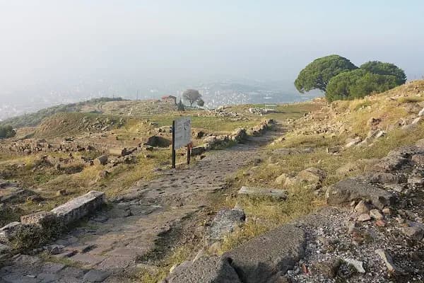 Bergama Sebze Ve Meyve Hali - Bakkal - İzmir Bergama