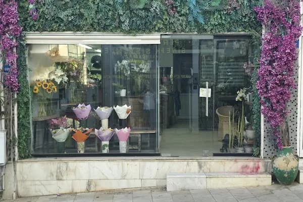 BODRUM ÇİÇEKÇİSİ-MANDALİN ÇİÇEKÇİLİK - Çiçekçi - Muğla Ula