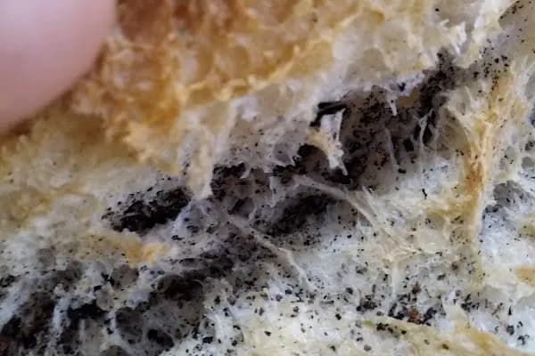 Akar Pastanesi - Pastane - Ankara Keçiören